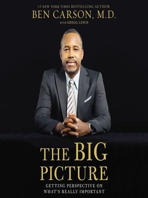 cover image of The Big Picture